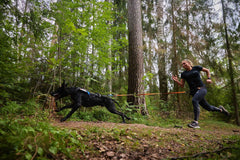 Woman sprinting in forest with dog on Orange/Black Non-stop Dogwear Bungee Leash, built for high-performance canicross and trail running.