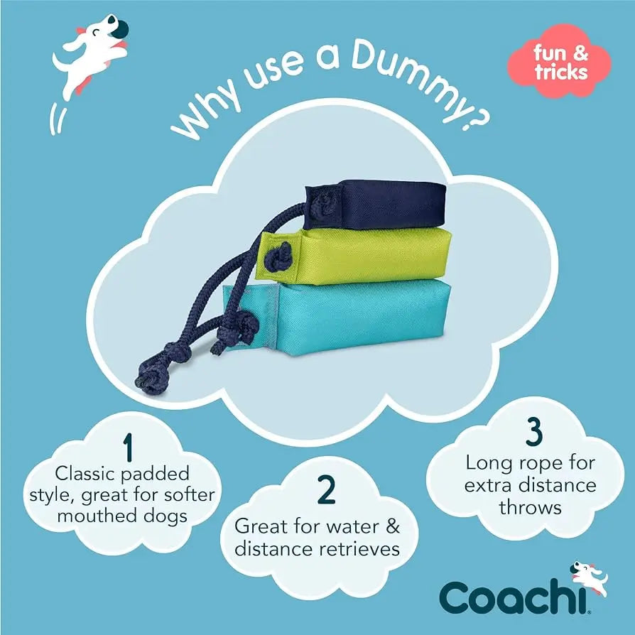 CoA Coachi Training Dummy