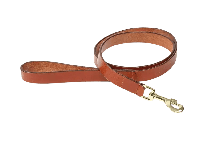 Digby & Fox Flat Leather Dog Lead