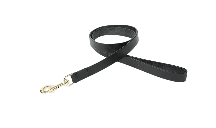 Digby & Fox Flat Leather Dog Lead