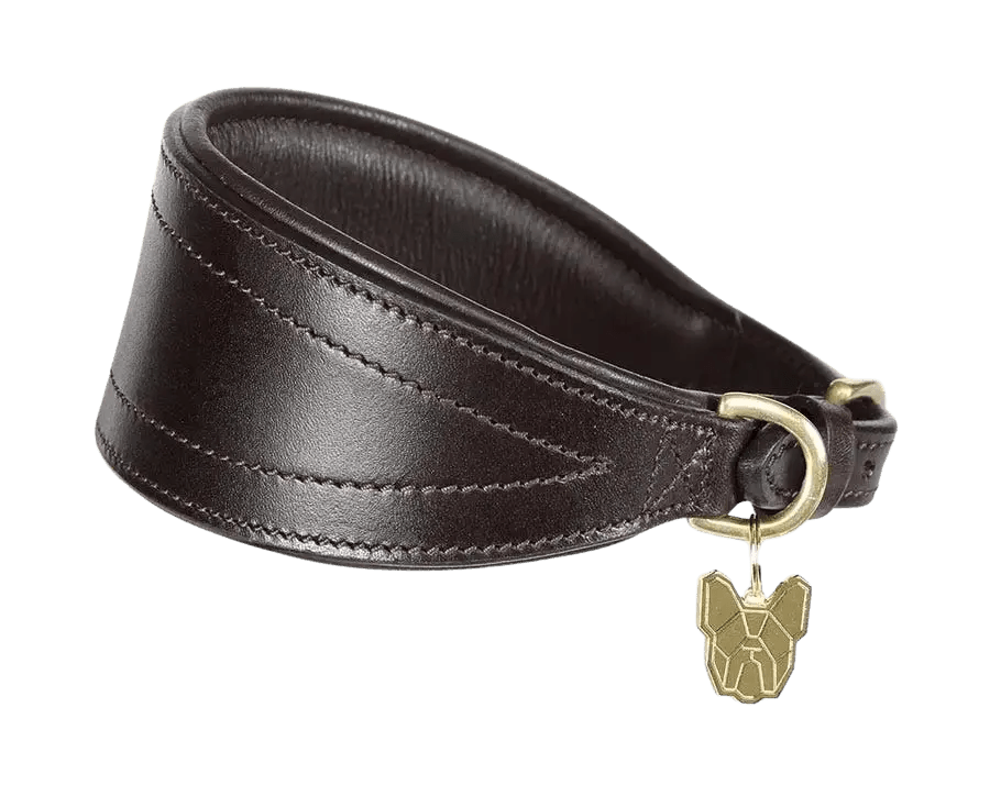 Digby & Fox Padded Greyhound Collar