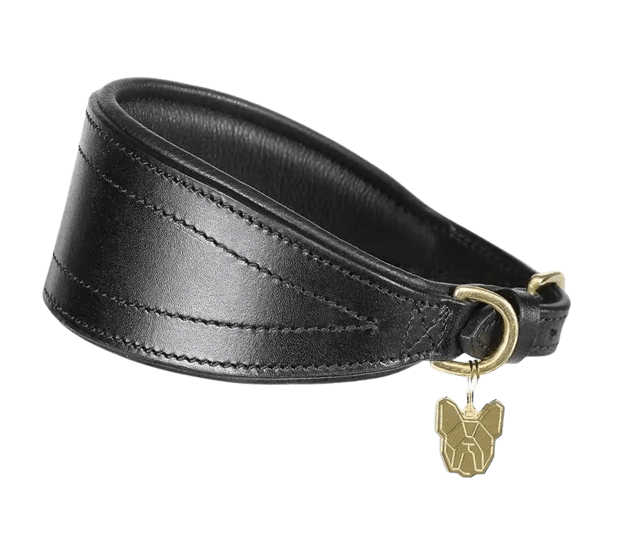 Digby & Fox Padded Greyhound Collar