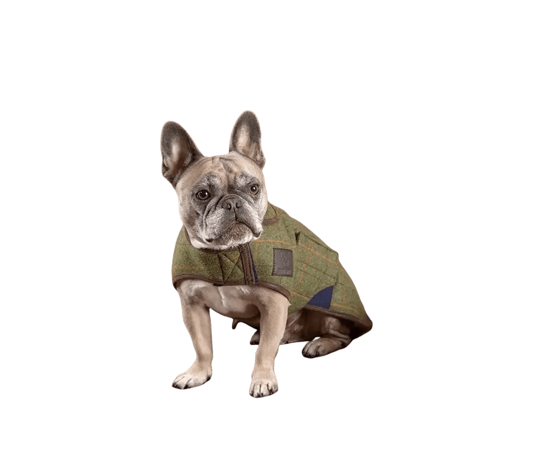 Digby & Fox Tweed Dog Coat