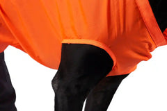 Close up of a leg through a dog rescue sling