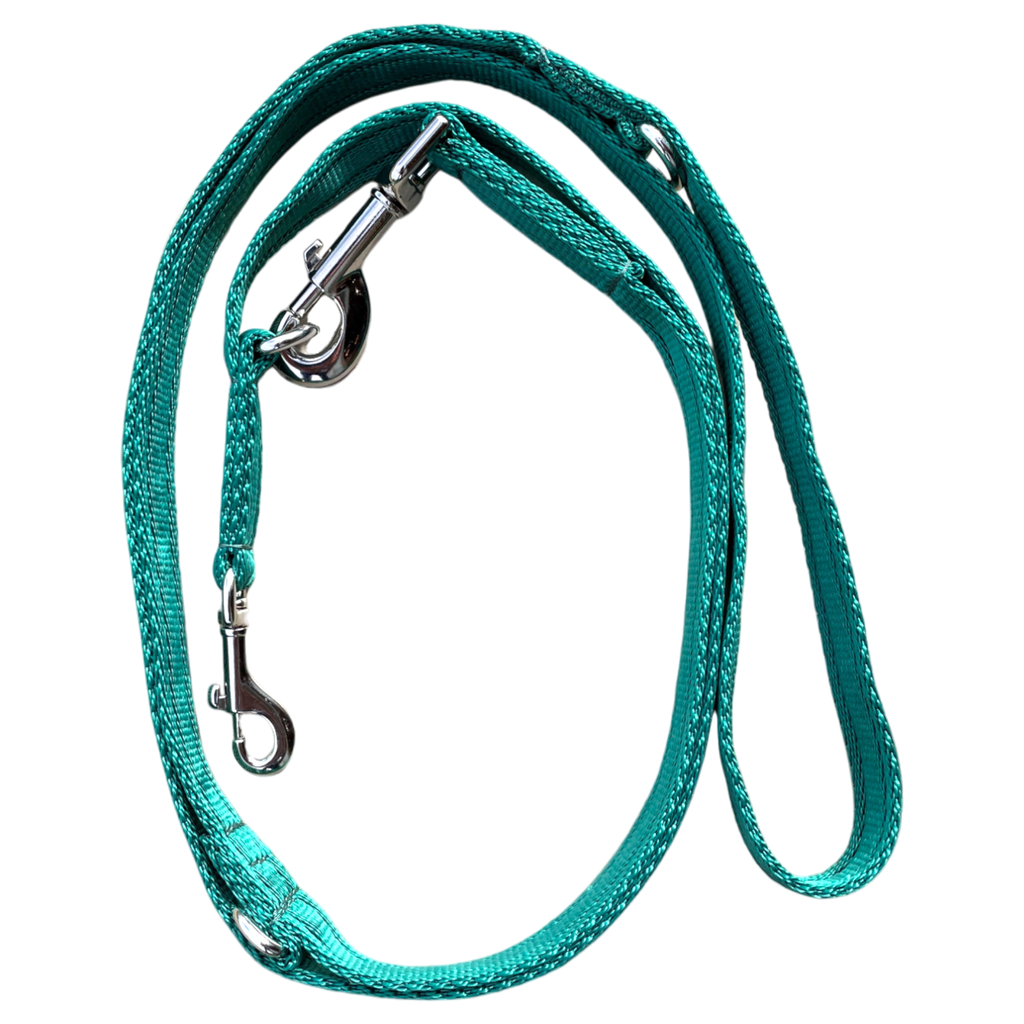 Double Ended Dog Lead - Green