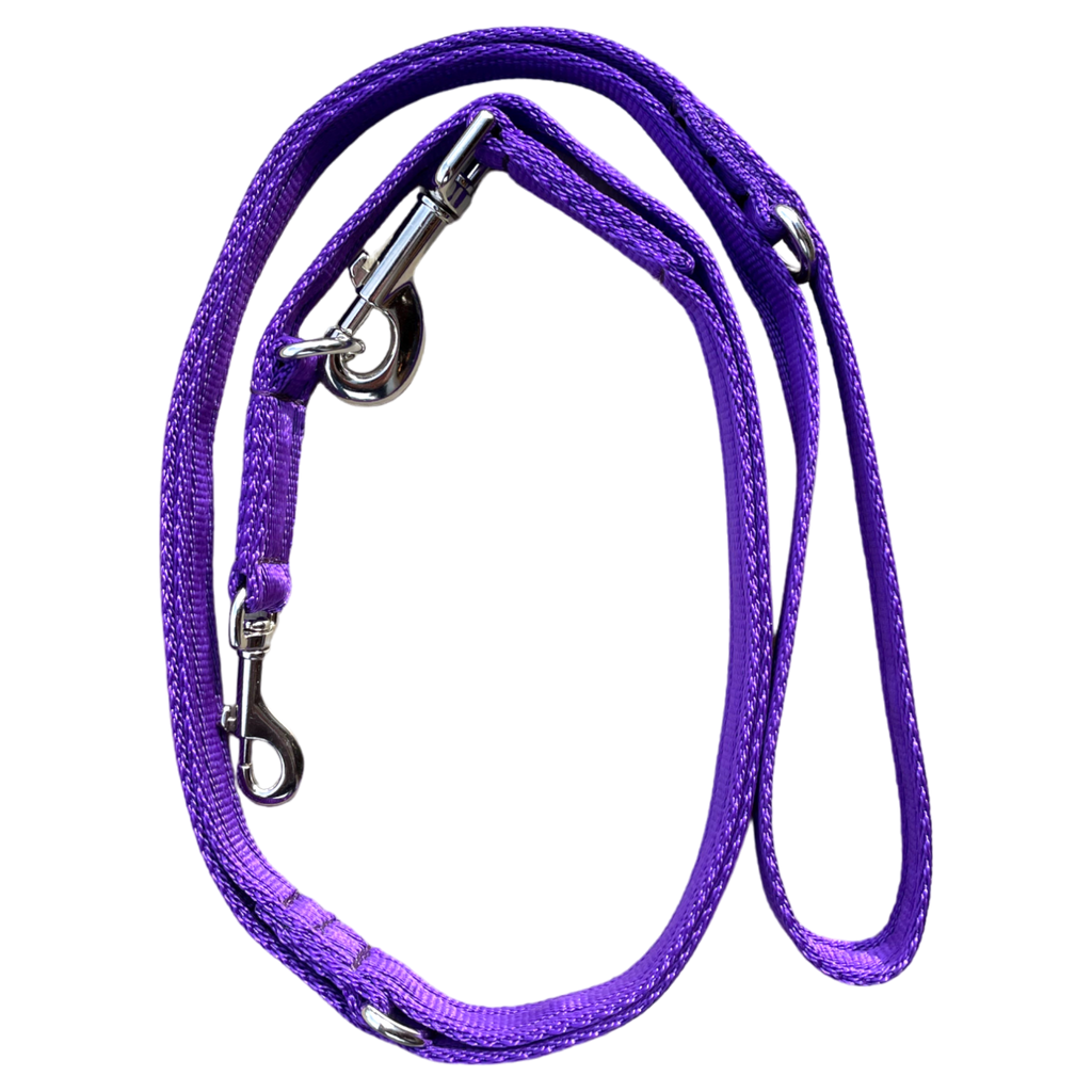 Double Ended Dog Lead - Purple