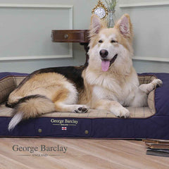 George Barclay Country Dog Sofa Bed - Midnight Blue