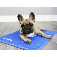 George Barclay ClimaCOOL Self Cooling Dog Mat