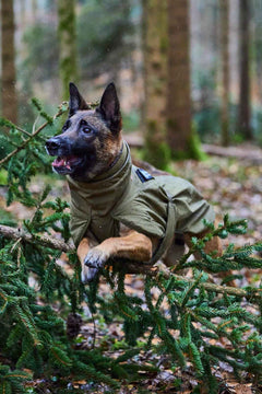 Non-stop dogwear Glacier Dog Jacket WD