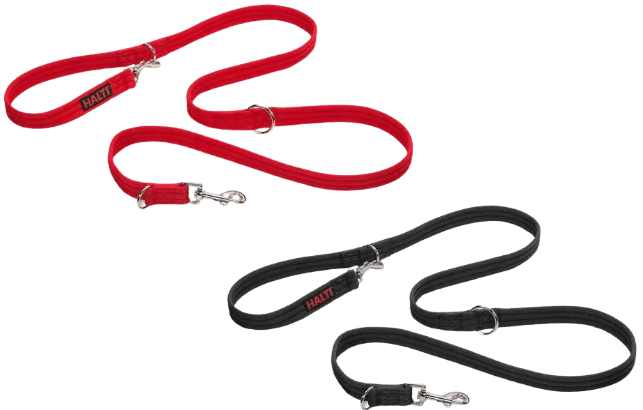 Halti Training Lead: Versatile Dog Training & ControlLeash