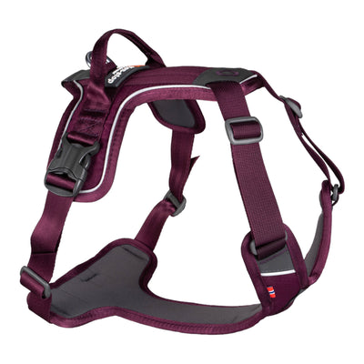 Purple Non-Stop dogwear Ramble Harness - Dog Harness