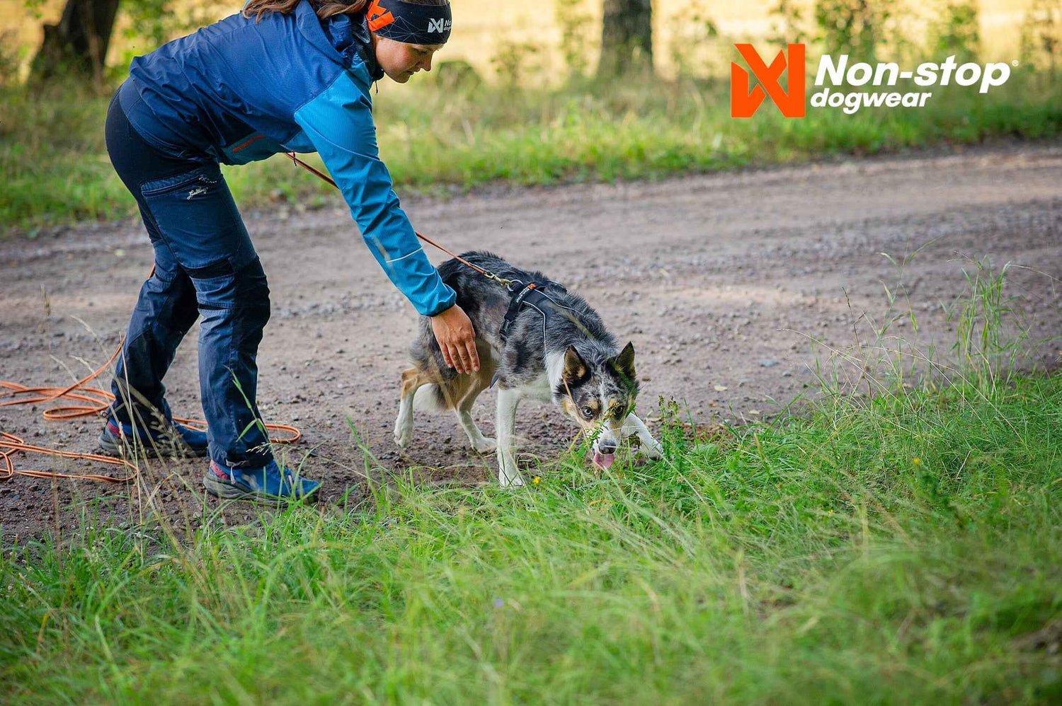 non-stop dogwear line harness 5.0