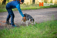 non-stop dogwear line harness 5.0