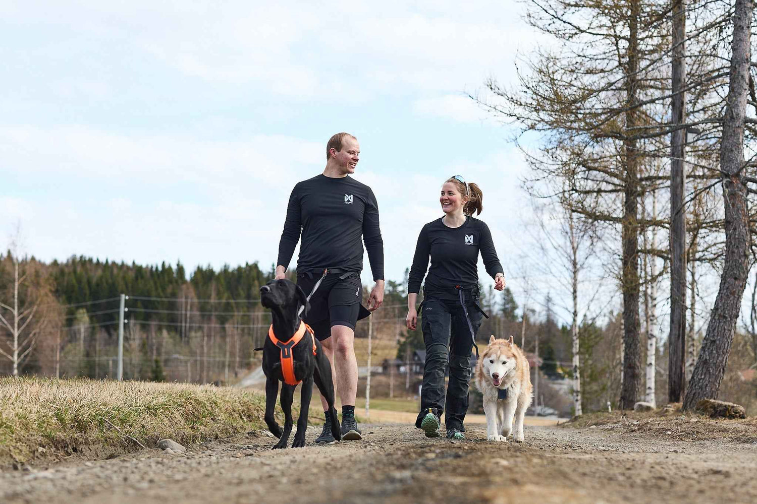 non-stop dogwear line harness 5.0