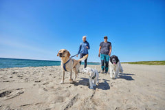 non-stop dogwear line harness 5.0