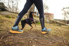 non-stop dogwear line harness 5.0