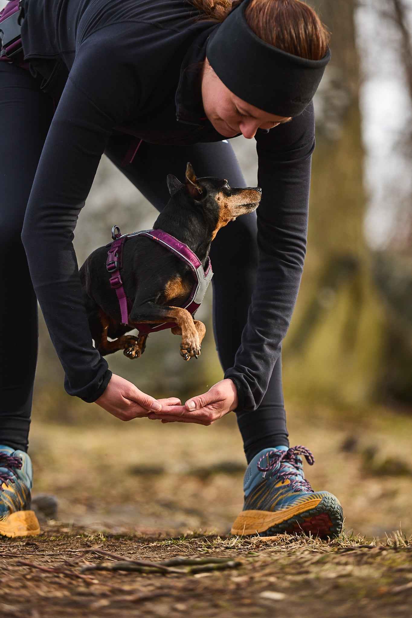 non-stop dogwear line harness 5.0