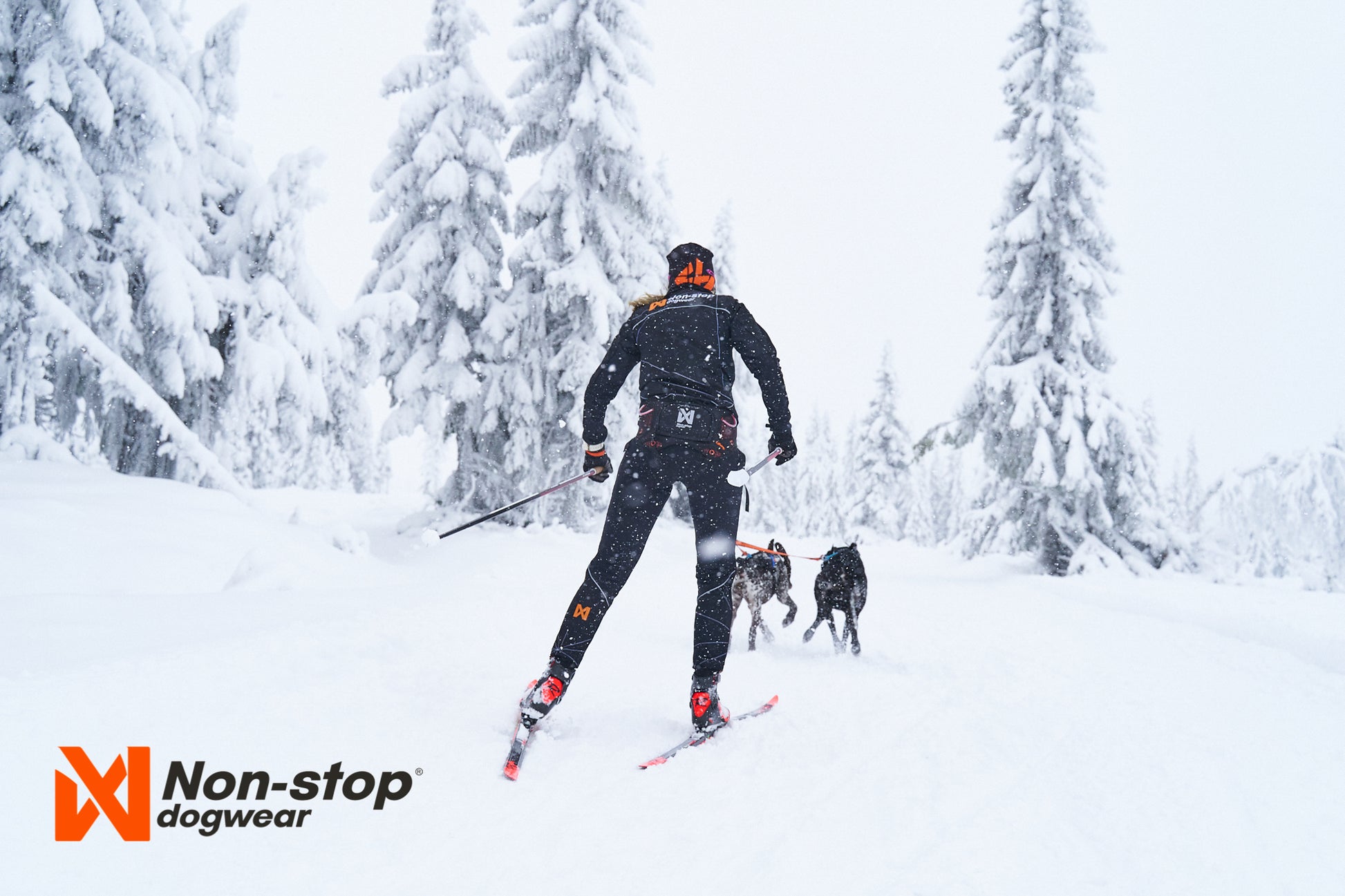 Non-stop dogwear Loype Belt - Skijoring Belt