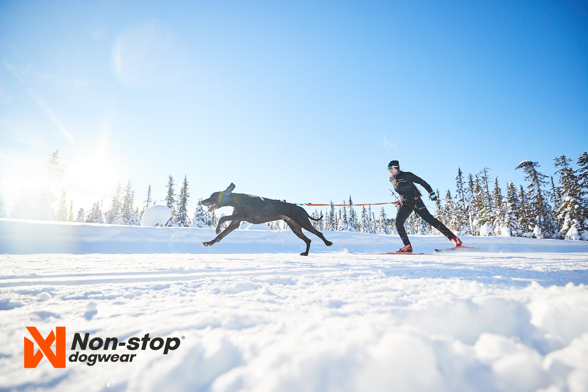 Non-stop dogwear Loype Belt - Skijoring Belt