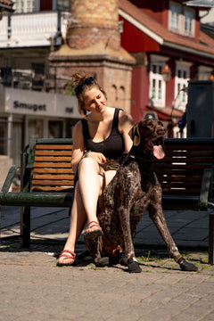 Non-stop dogwear Rock Adjustable Collar