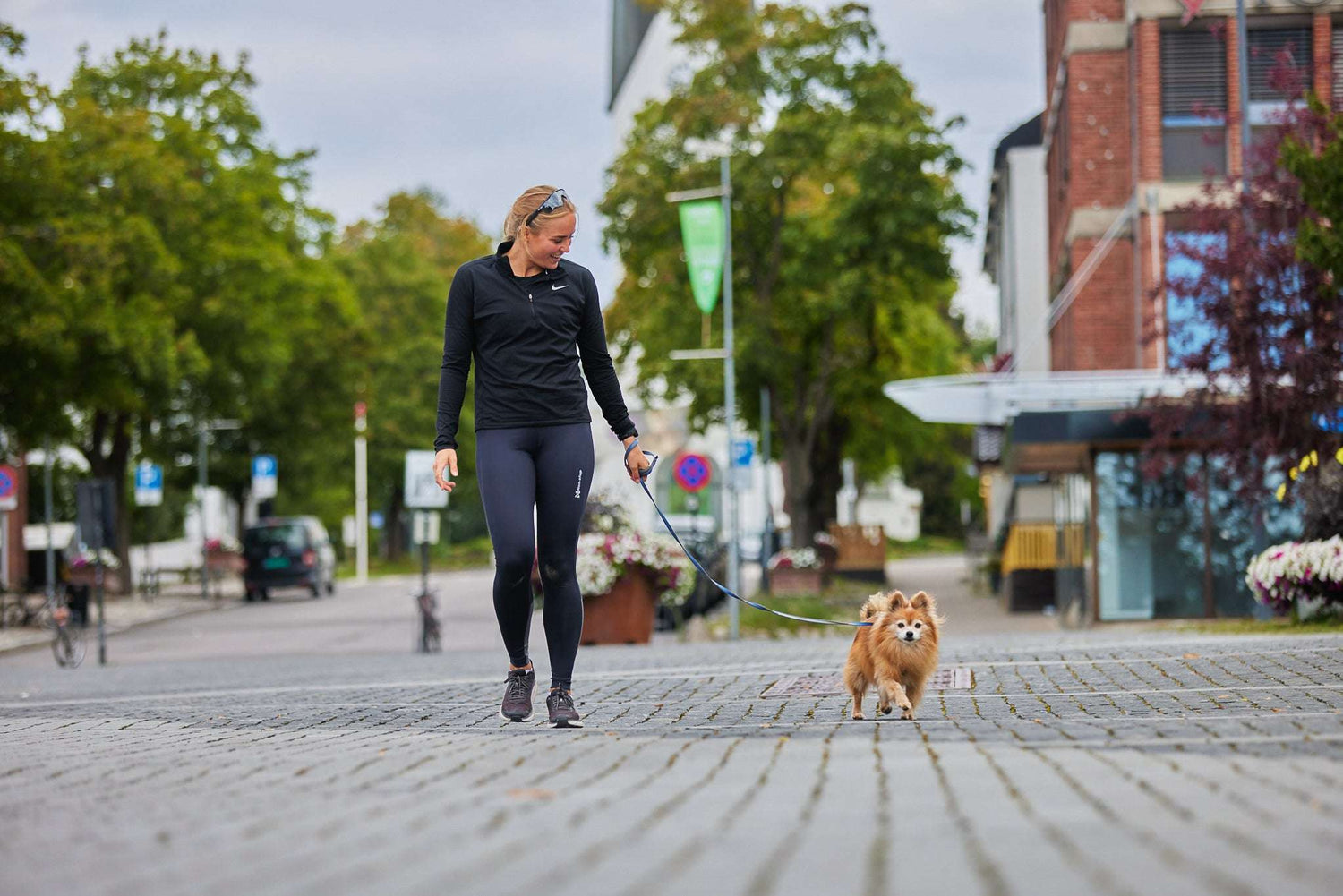 non-stop dogwear Move leash
