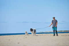 non-stop dogwear Move leash