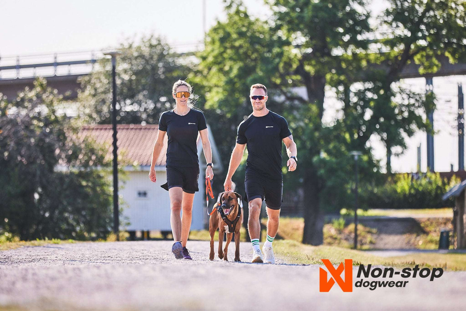 non-stop dogwear Move leash