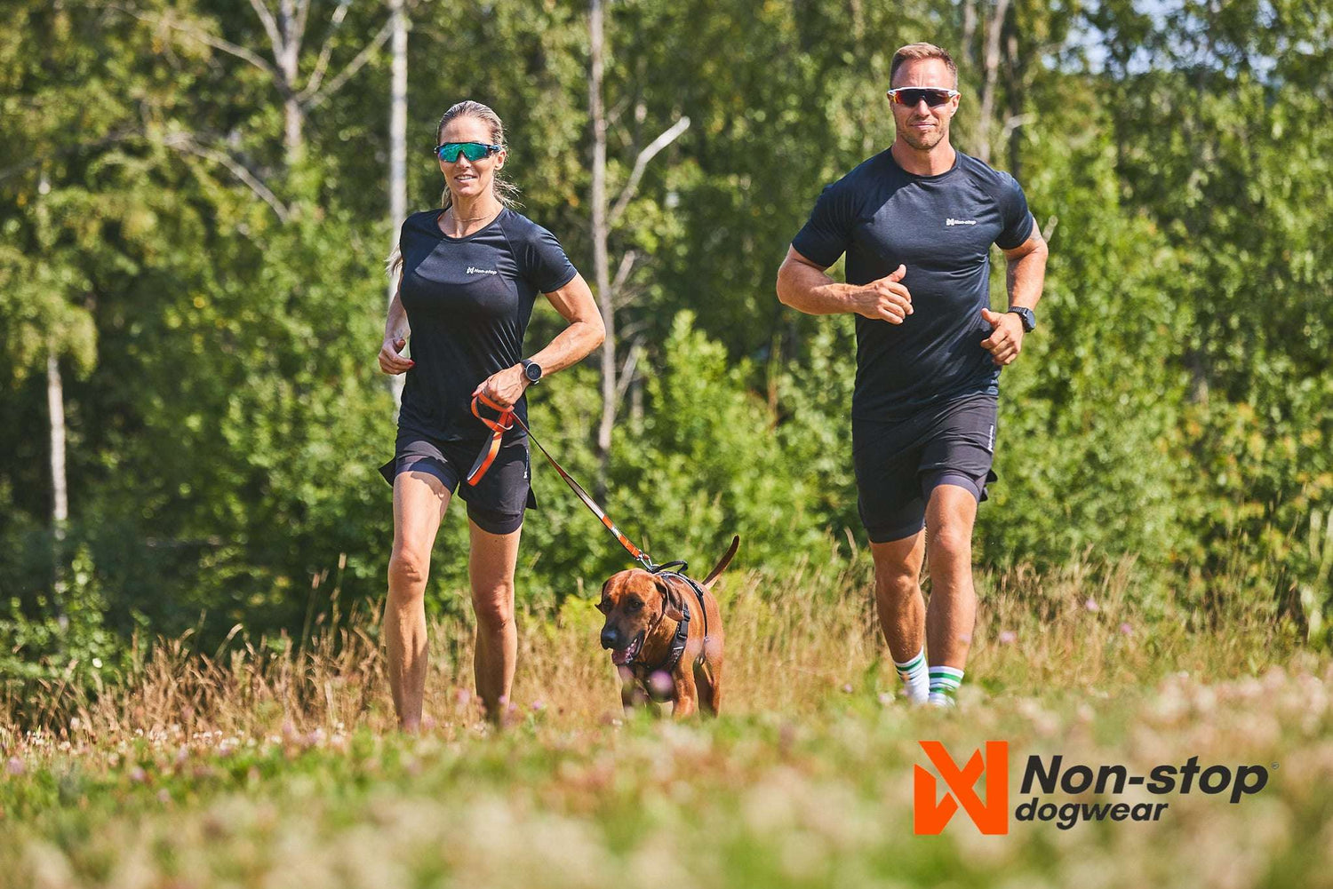 non-stop dogwear Move leash