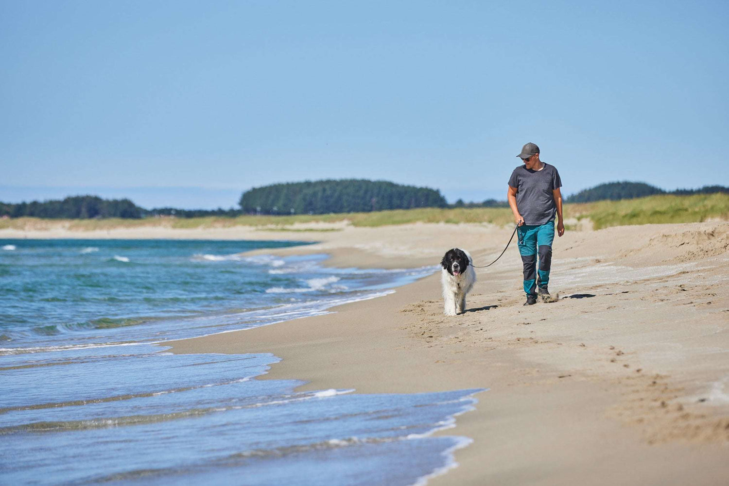 non-stop dogwear Move leash