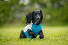Non-stop Dogwear Cooling pull-On Vest