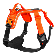Non-stop Dogwear Ramble Harness