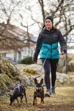 Non-stop dogwear Touring bungee adjustable
