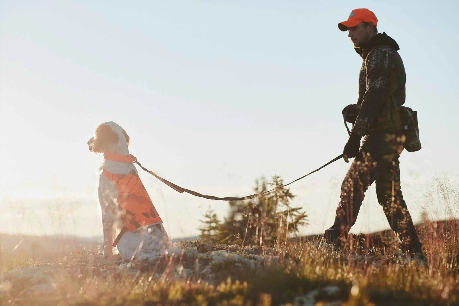 Non-stop dogwear Touring bungee adjustable
