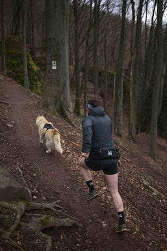 Non-stop dogwear Trail light belt