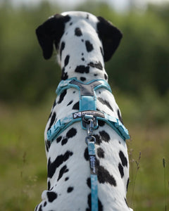 Non-stop dogwear Trekking Line Harness CLIP'N™