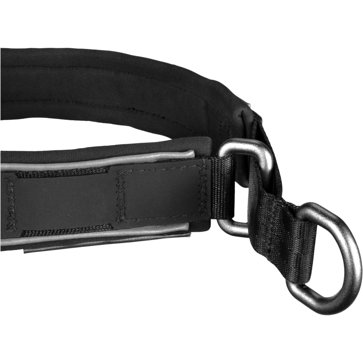 Close-up of a black dog collar with a metal D-ring on a white background