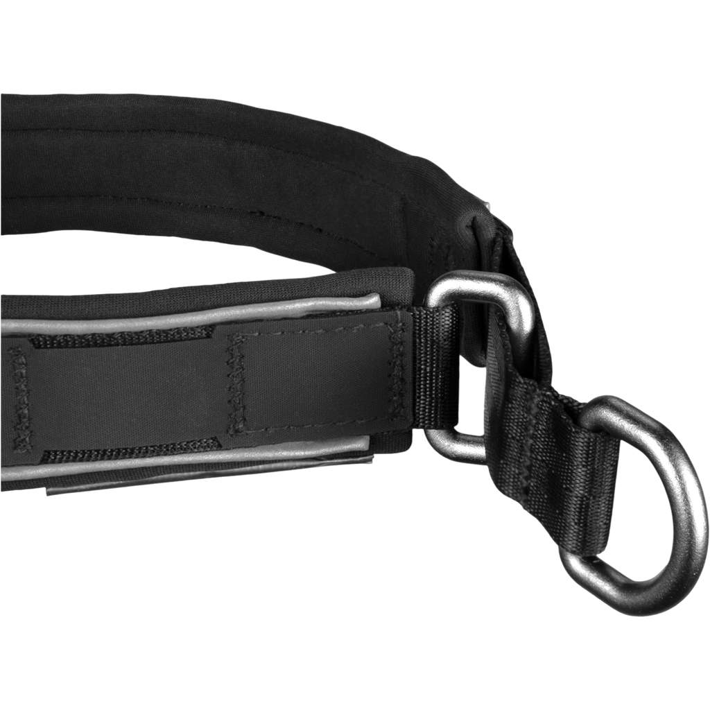 Close-up of a black dog collar with a metal D-ring on a white background
