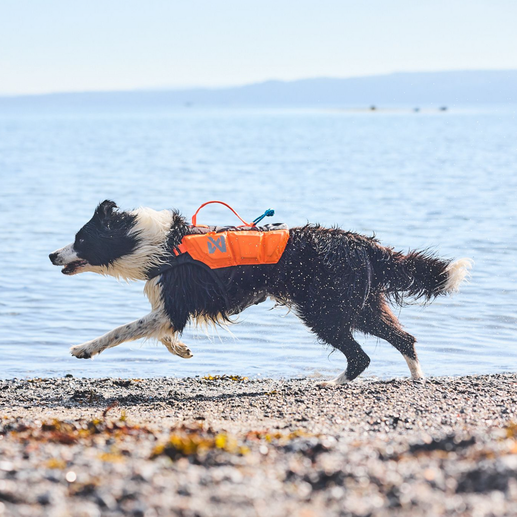Non stop dogwear Protector life jacket