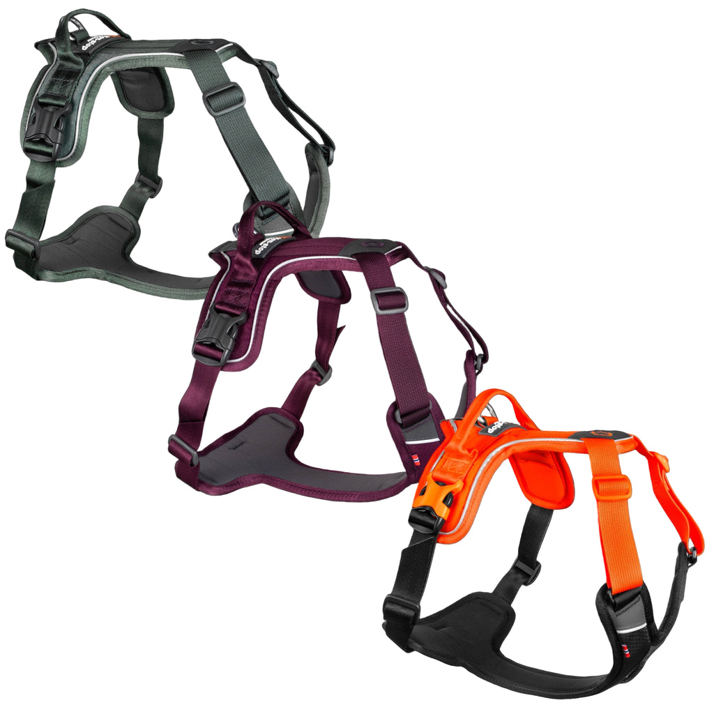 Non-Stop dogwear Ramble Harness in three colours - Dog Harness