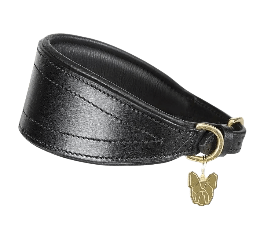 Digby & Fox Padded Greyhound Collar in black leather with brass hardware and tapered design for sighthound comfort and style.