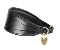Digby & Fox Padded Greyhound Collar in black leather with brass hardware and tapered design for sighthound comfort and style.