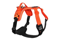 Non-stop dogwear Puppy Kit Orange - Puppy Pack