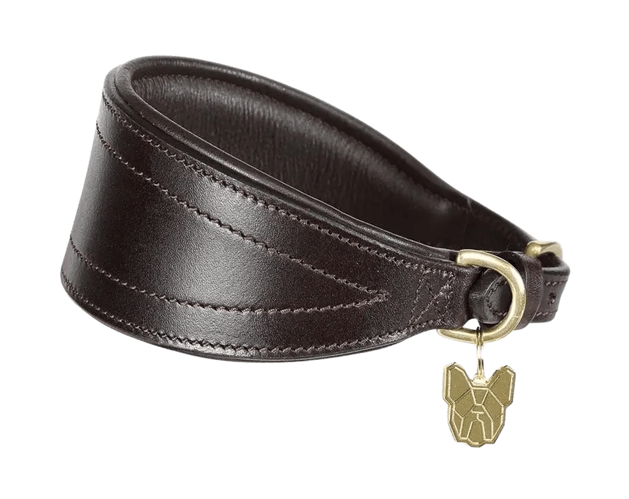 Dark brown Digby & Fox Padded Greyhound Collar featuring soft leather padding and brass fittings for elegant pet wear.