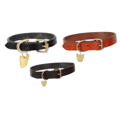 Digby & Fox Flat Leather Dog Collar in black, brown, and tan with brass fittings and gold dog tag, ideal for stylish pet wear.