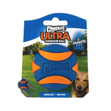 Chuckit Ultra Squeaker Ball in medium size, featuring durable orange and blue rubber with built-in squeaker, ideal for active dog fetch play.