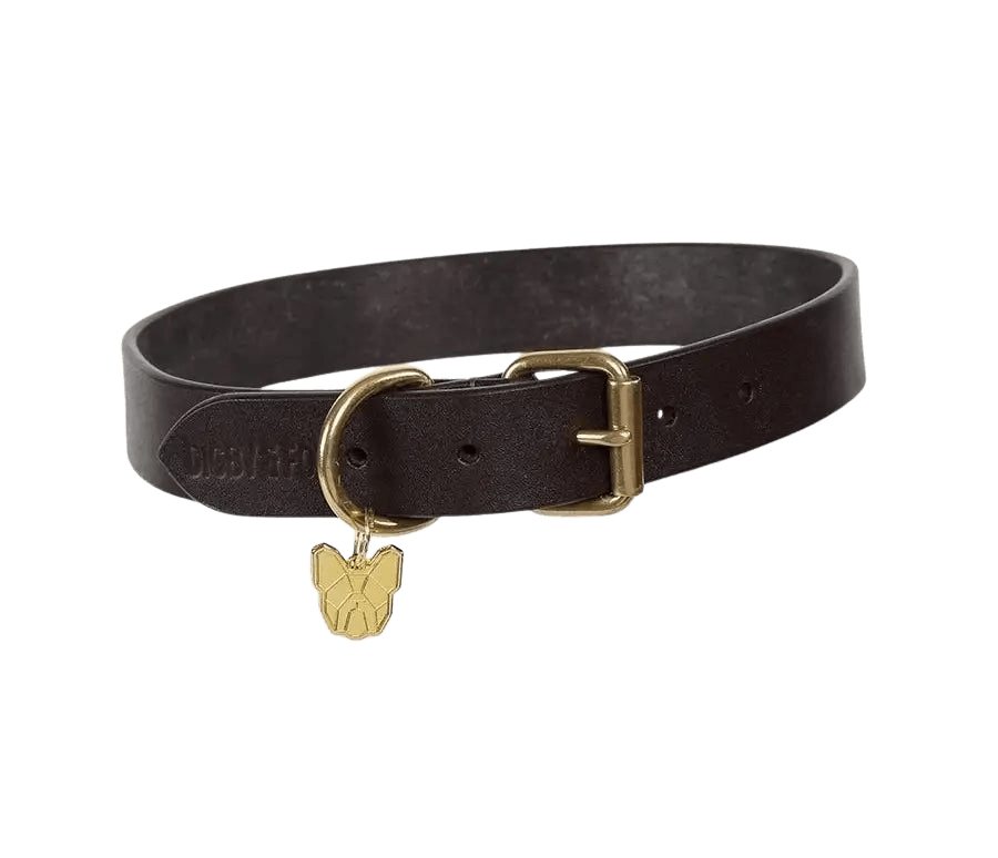 Dark brown Digby & Fox Flat Leather Dog Collar with brass hardware and gold dog tag, crafted for premium pet comfort and style.