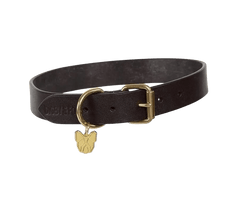 Dark brown Digby & Fox Flat Leather Dog Collar with brass hardware and gold dog tag, crafted for premium pet comfort and style.