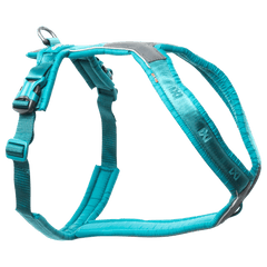 Turquoise, Non-stop dogwear Line harness 5.0