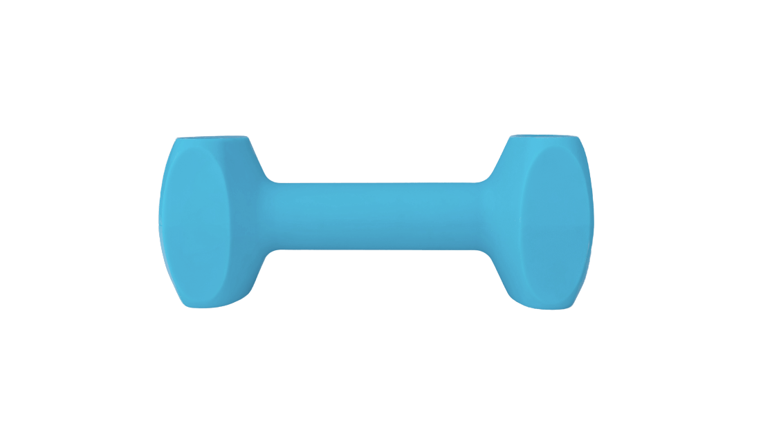 CoA Coachi Training Dumbbell large