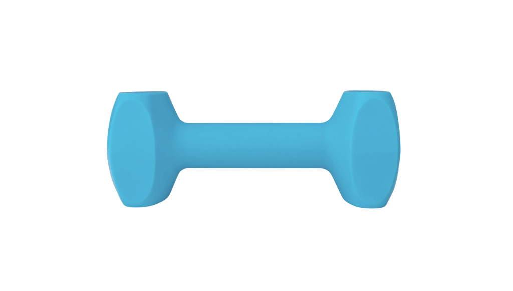 CoA Coachi Training Dumbbell large